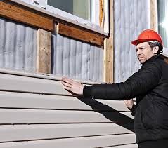 Best Custom Trim and Detailing for Siding  in Farmville, VA